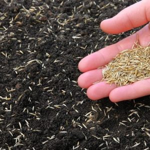 vejos-seklu-sejimo-technika